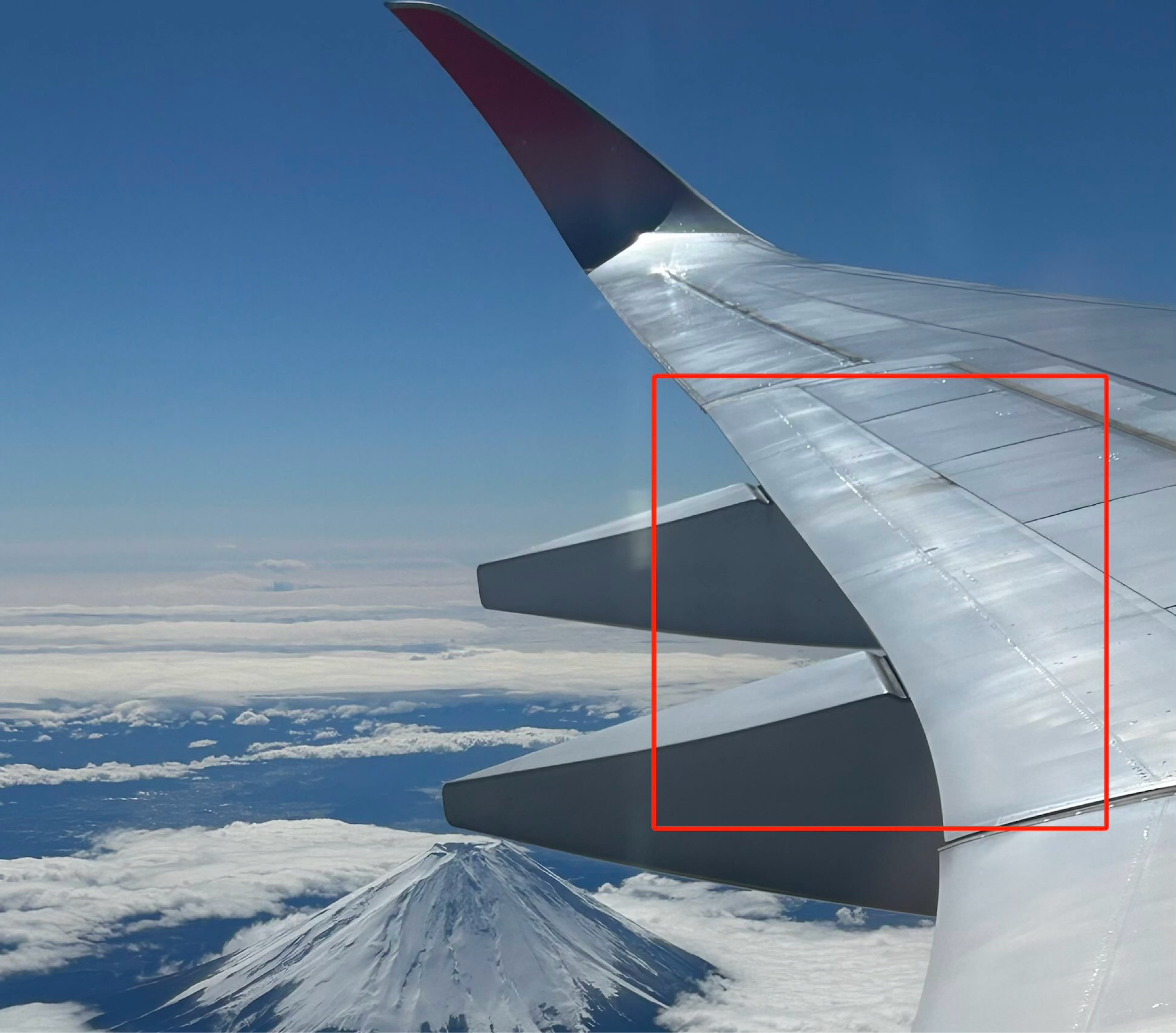 フラップの画像